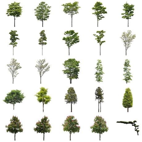 無料樹木素材セット　50個　free_trees_50p_009