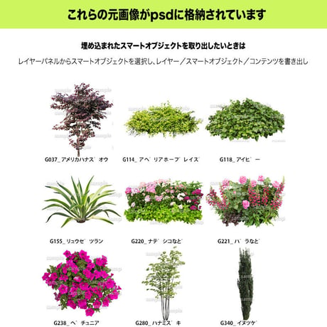 ガーデン植栽パースセット  GP004_05
