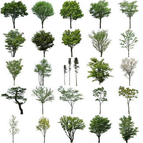 無料樹木素材セット　100個　free_trees_set01