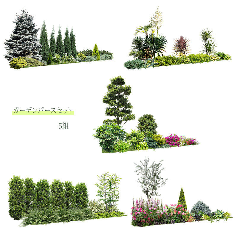 ガーデン植栽パース 5組 セット GP003_h2 | 樹木素材.com