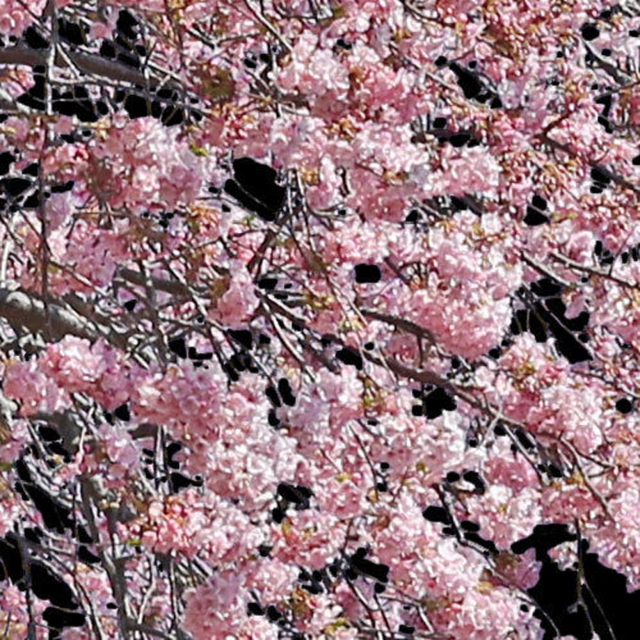 5b7057735496ff14d7002db2