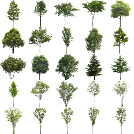 無料樹木素材セット　89個　free_trees_set03