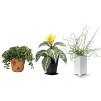 観葉植物素材　3個セット　8kp0011