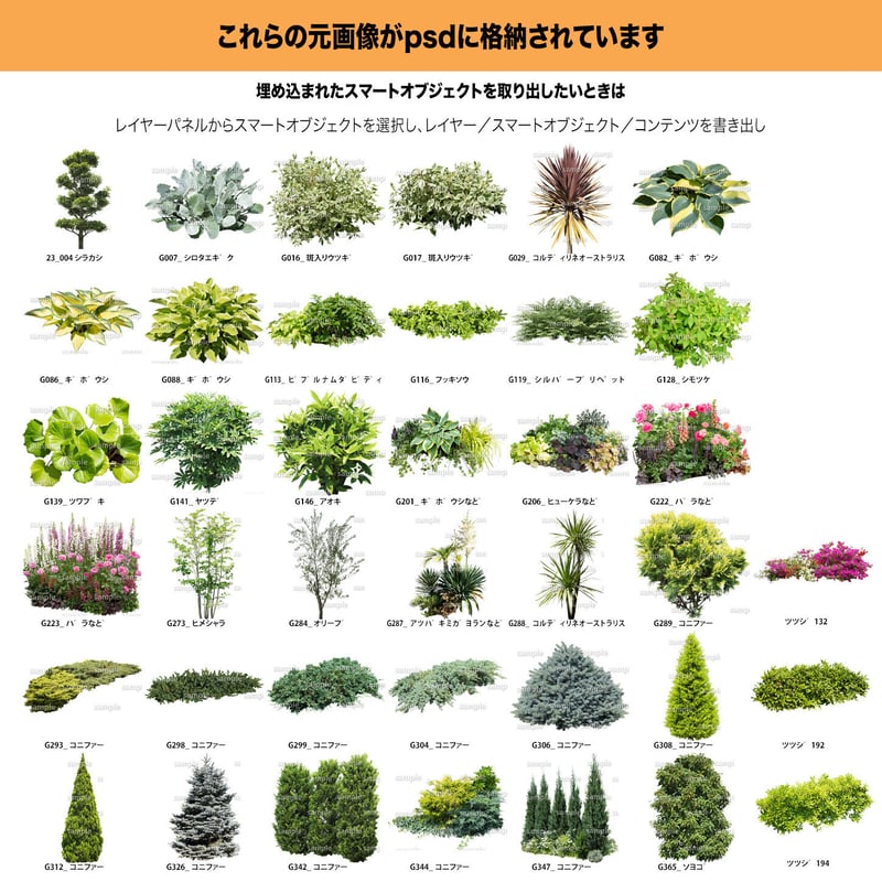 ガーデン植栽パース 5組 セット GP003_h2 | 樹木素材.com
