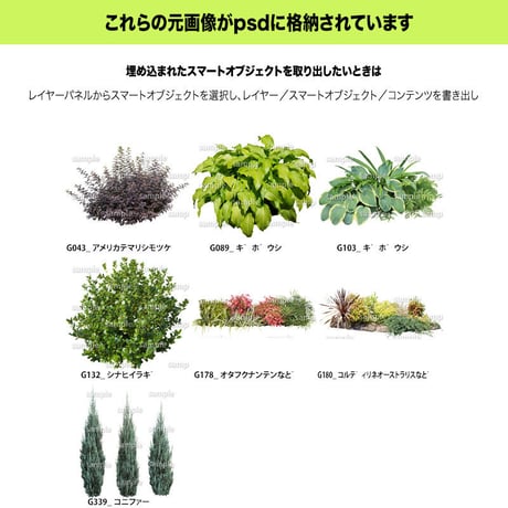 ガーデン植栽パースセット  GP004_02