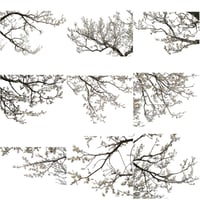 梅　切り抜きセット素材  - Plum trees  2u_04