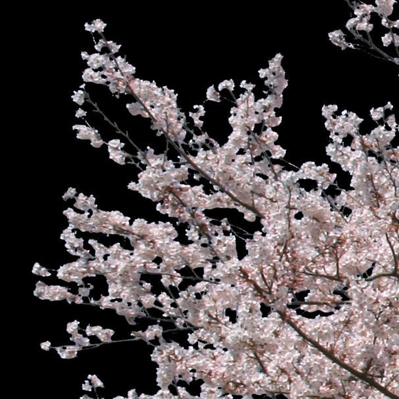 花ゆめ(1)   切り抜き 花とゆめ1997年第13号花とゆめ切り抜き山口美由紀由貴香織里