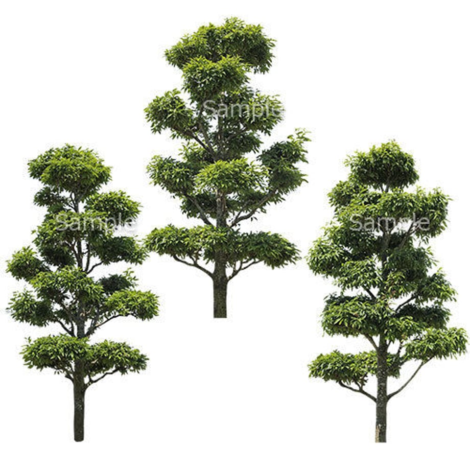 5b70bf045f78666896000451