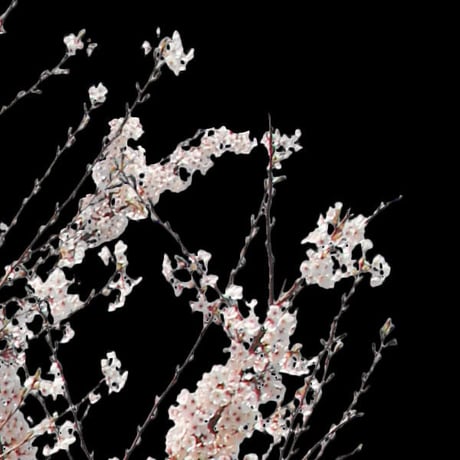 桜　切り抜き素材セット  - Cherry Blossoms   sa_009