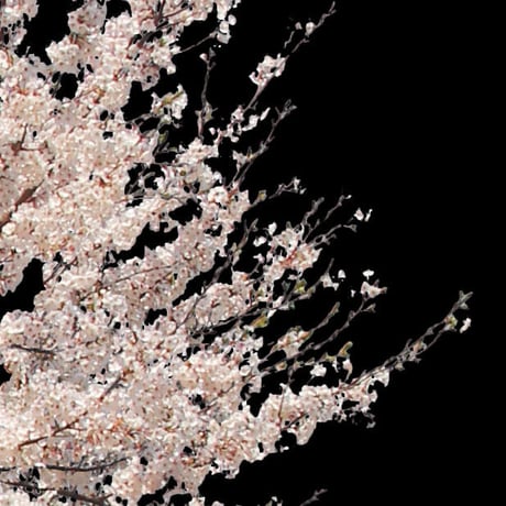 桜　切り抜き素材セット  - Cherry Blossoms   sa_009