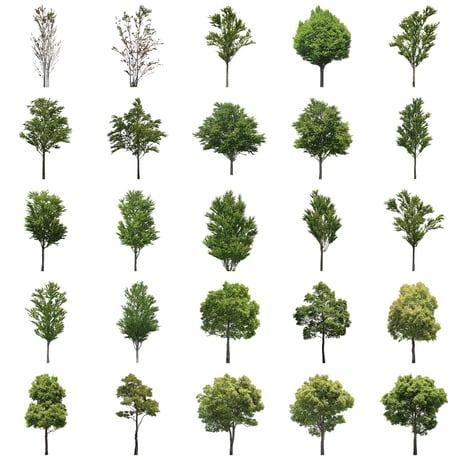無料樹木素材セット　50個　free_trees_50p_006