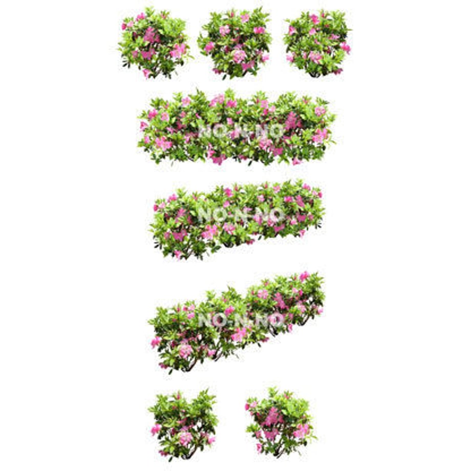 5b6faf38ef843f40d90018d9