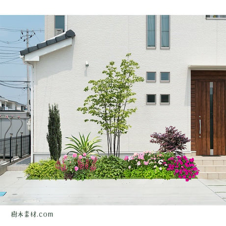 ガーデン植栽パースセット  GP004_05
