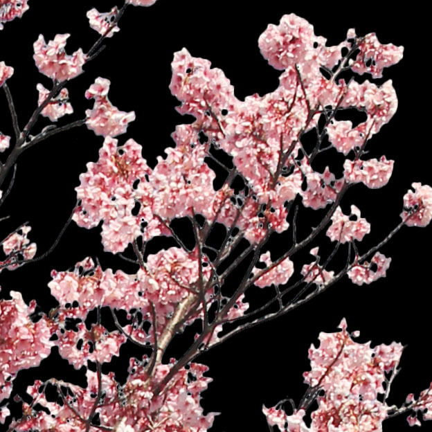 ⭐️All Cherry Blossoms⭐️新品5枚set⭐️婦人画報別注桜 056F-607.jpg