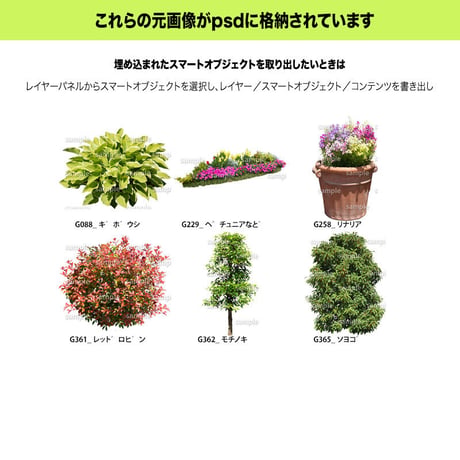 ガーデン植栽パースセット  GP001_06