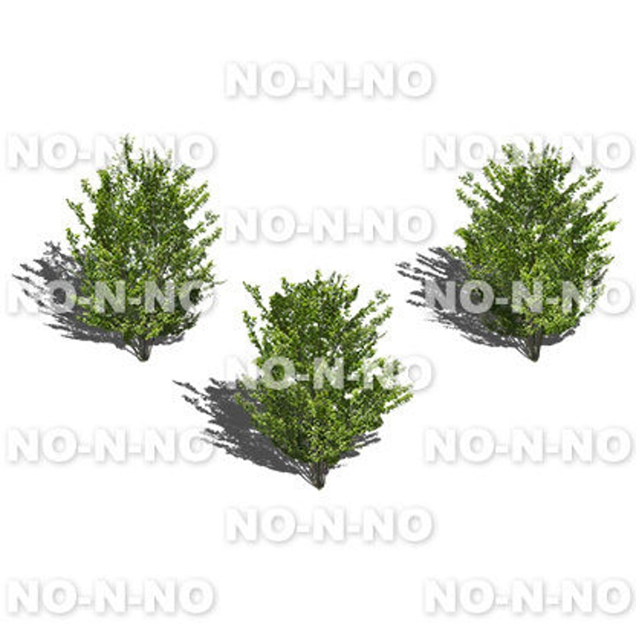 5b70070c5f78663fbd0001fa