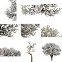 梅　切り抜きセット素材  - Plum trees  2u_05