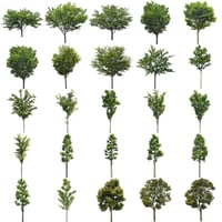 無料樹木素材セット　89個　free_trees_set03