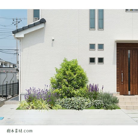 ガーデン植栽パースセット  GP004_06