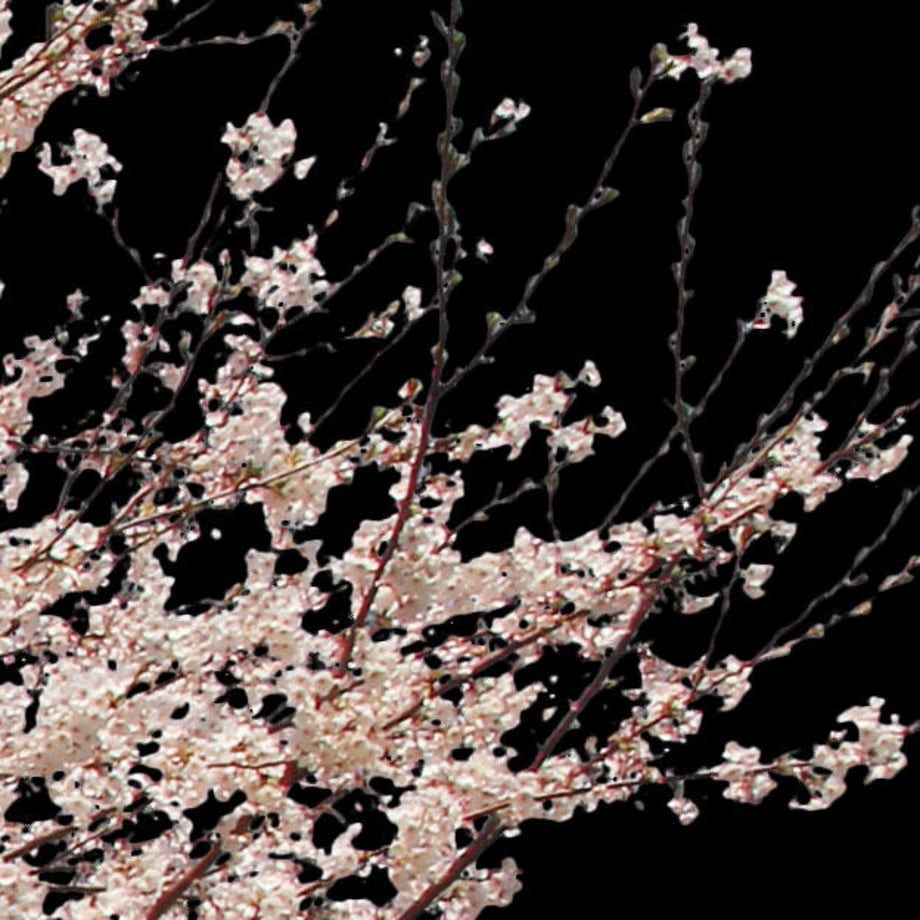 5b704bdc5496ff74b00041f7