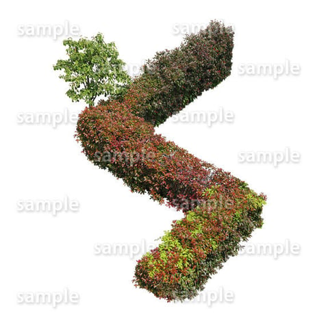 鳥瞰樹木  Bird-eye_60-低木レッドロビンなど-Shrub