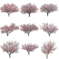 桜　切り抜き素材セット  - Cherry Blossoms   sa_021