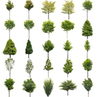 無料樹木素材セット　100個　free_trees_set01