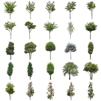 無料樹木素材セット　30個　free_trees_30p_010