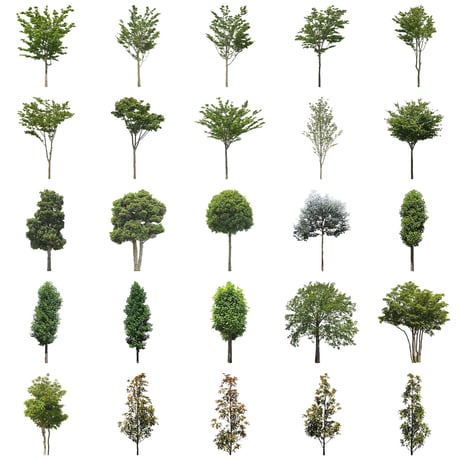 無料樹木素材セット　30個　free_trees_30p_010