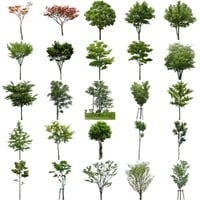 無料樹木素材セット　90個　free_trees_set02