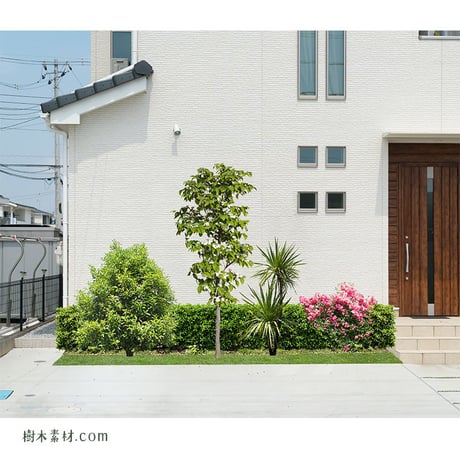 ガーデン植栽パースセット  GP004_04
