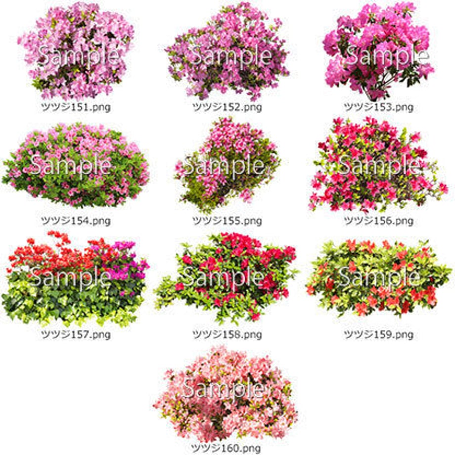 5b6fe097ef843f3319001cc4