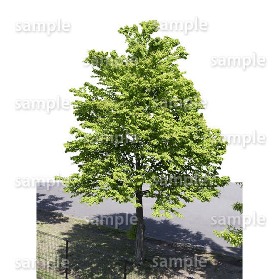 5baa15b55f78662bc1000e2b