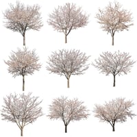 桜　切り抜き素材セット  - Cherry Blossoms   sa_009