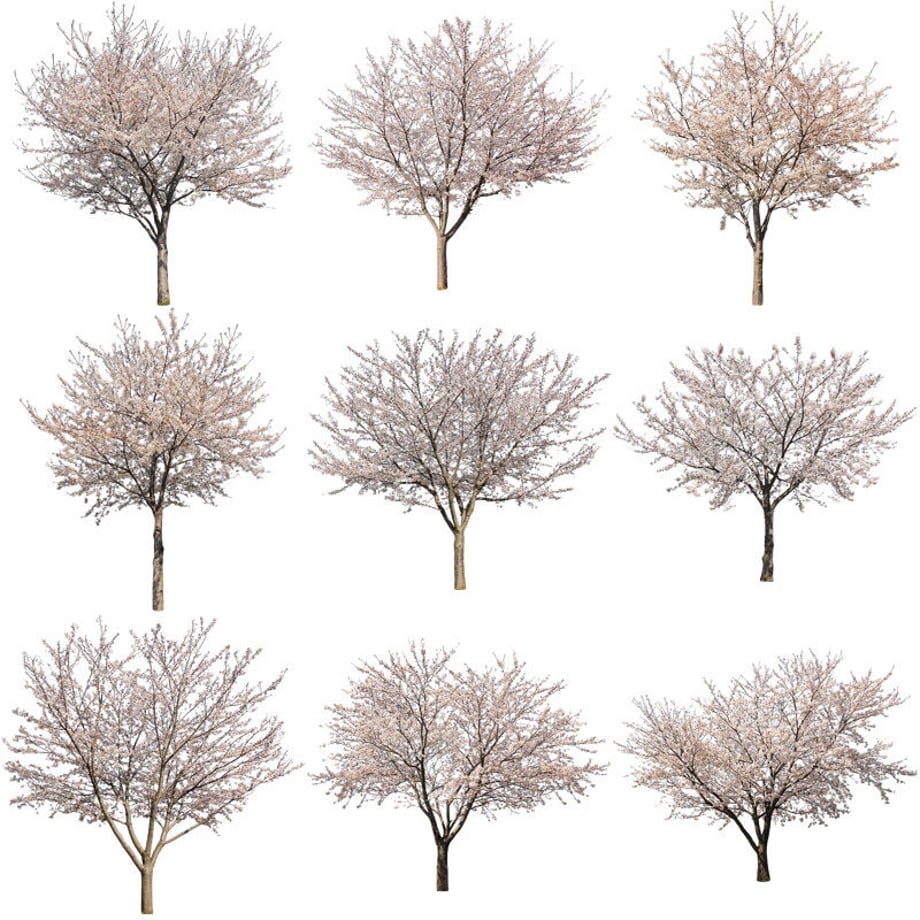5b704bdc5496ff74b00041f7