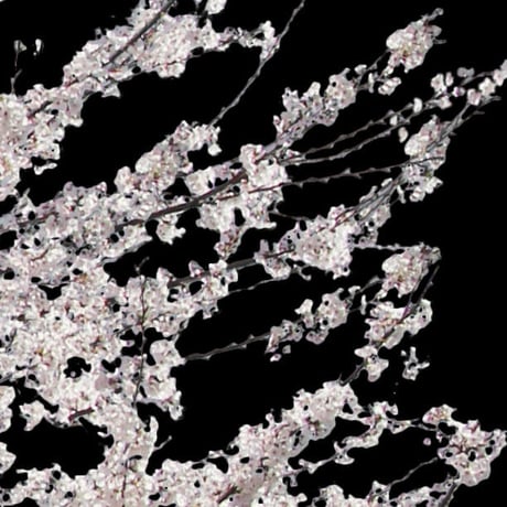 桜　切り抜き素材セット  - Cherry Blossoms   sa_011
