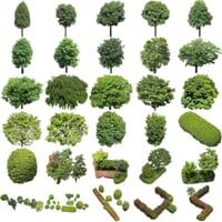 鳥瞰樹木30個セット　Bird-eye-set02