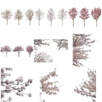 桜　切り抜き素材セット  - Cherry Blossoms   sa_002