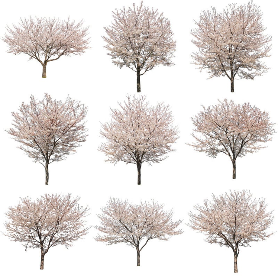 5b704b975496ff3953000097
