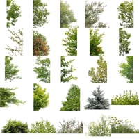 無料-前景樹木素材セット　75個　free_zenkei_set03
