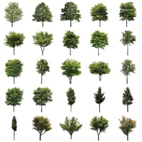 無料樹木素材セット　50個　free_trees_50p_005