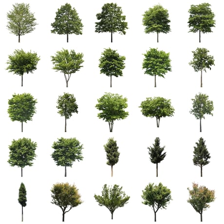 無料樹木素材セット　50個　free_trees_50p_005