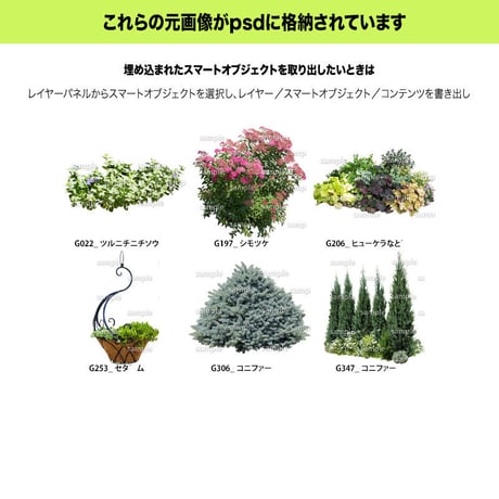 ガーデン植栽パースセット  GP001_04