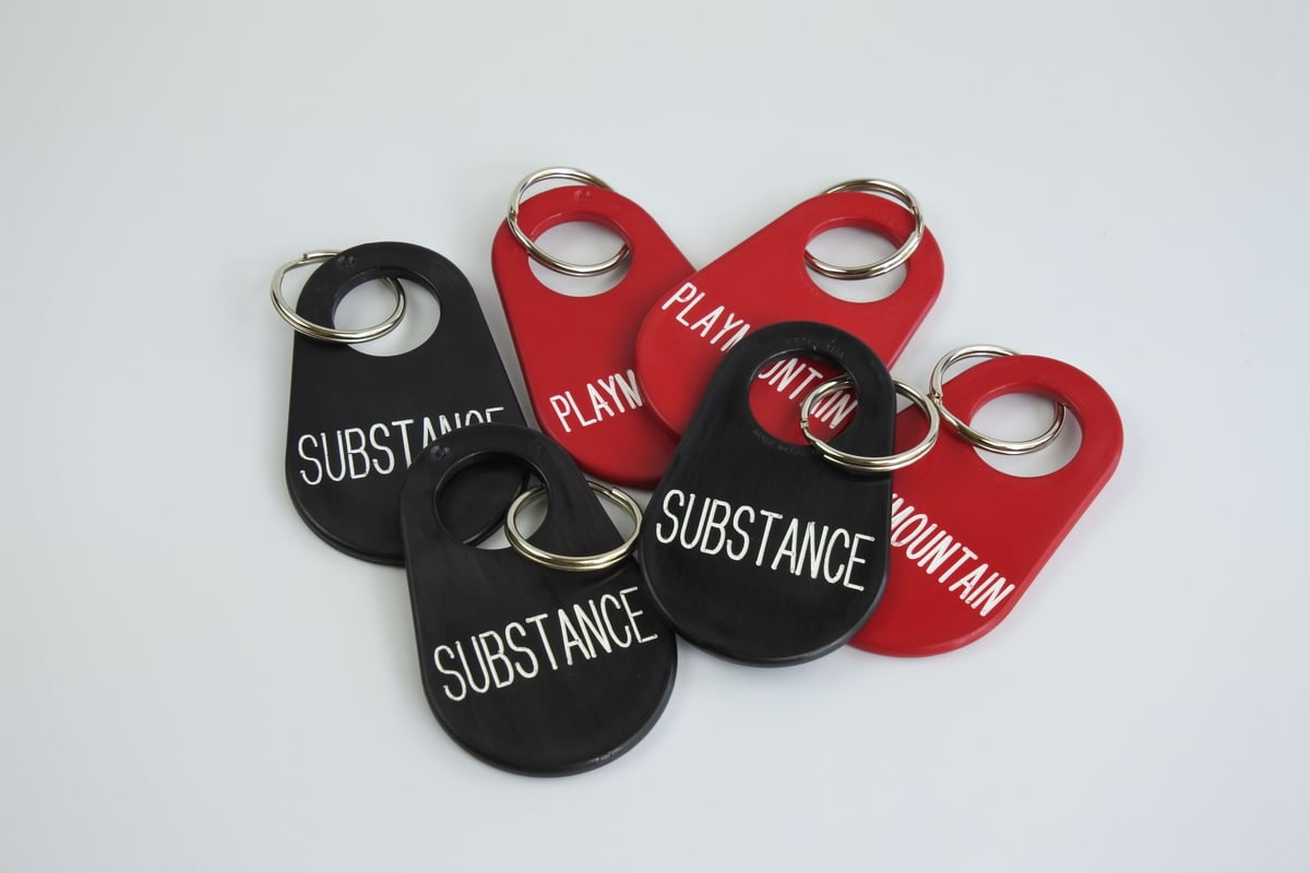 新品 AG × ランドスケープ プロダクツ  キーホルダー SUBSTANCE×Landscape Products オリジナルキーホルダー | SUBS