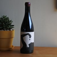 Dolcetto 2022（ドルチェット 2022）/Frederick Stevenson フレデリック・スティーヴンソン