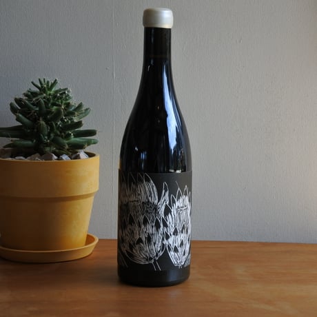 Syrah & Friends 2016（シラー アンド フレンズ 2016）/Frederick Stevenson フレデリック・スティーヴンソン