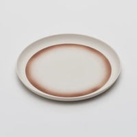 2016 Kirstie van Noort: Plate 250 / Spray Color