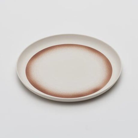 2016 Kirstie van Noort: Plate 250 / Spray Color