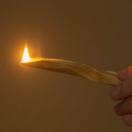 PALO SANTO