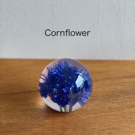 Hafod Grange/Paperweight/S